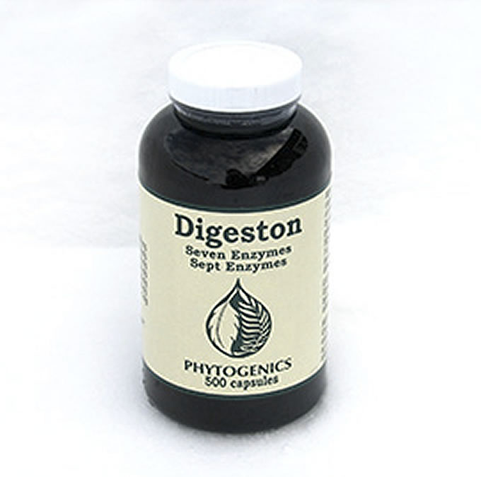 Digeston Digeston